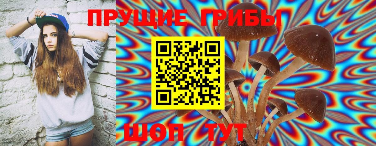 Коряжма  Псилоцибиновые грибы мухоморы  Вход с VPN 
