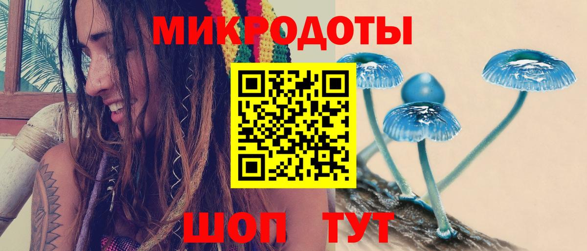 Галлюциногенные грибы ЛСД Коряжма